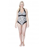 ari_pa-sw-0107_mod2-front